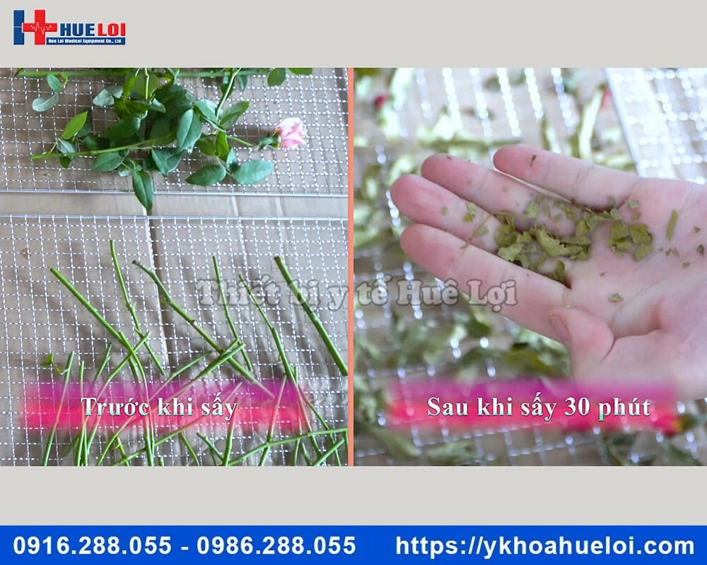 Máy sấy dược liệu công suất cao