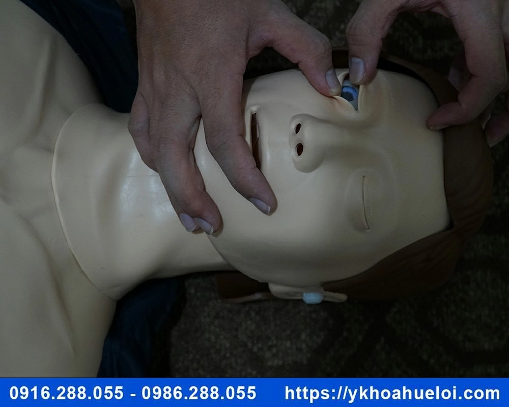 Mô hình cấp cứu ngừng tuần hoàn