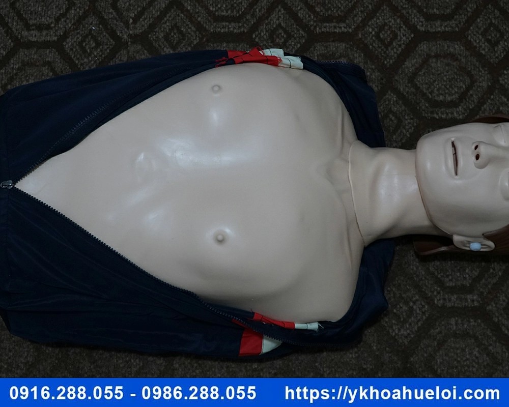 Mô hình cấp cứu ngừng tuần hoàn