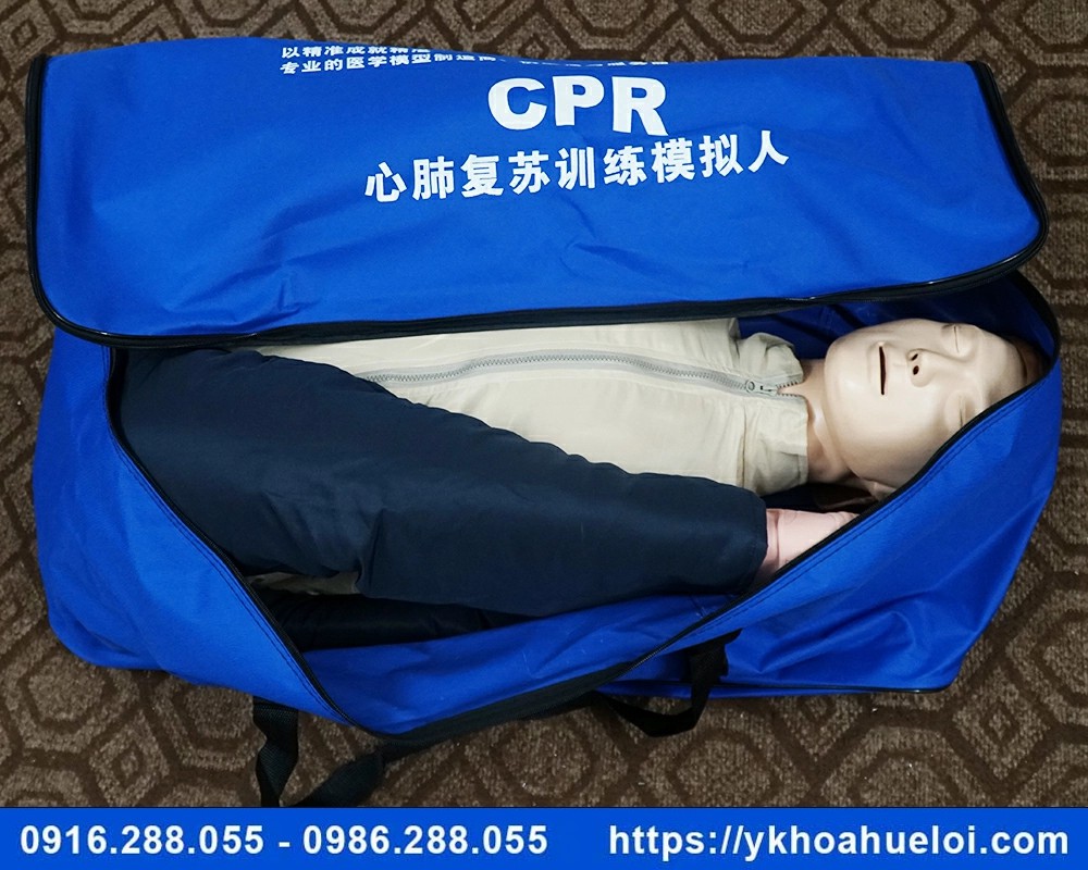 Mô hình cấp cứu ngừng tuần hoàn 170cm