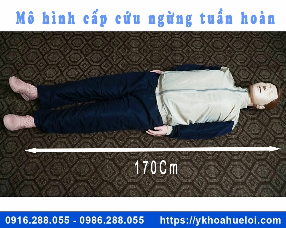 Mô hình cấp cứu ngừng tuần hoàn 170cm