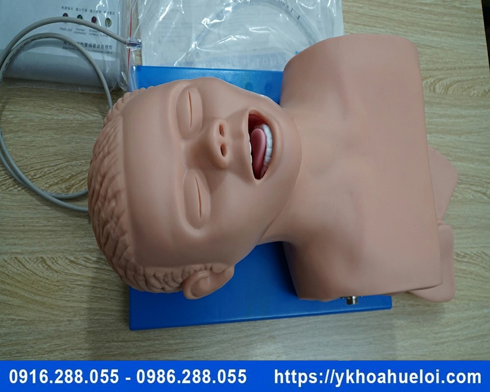 Mô hình thực hành đặt nội khí quản