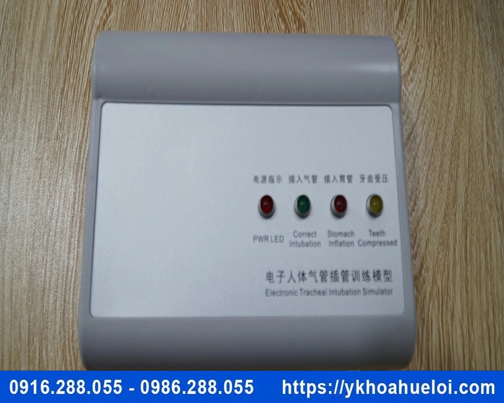 Mô hình thực hành đặt nội khí quản