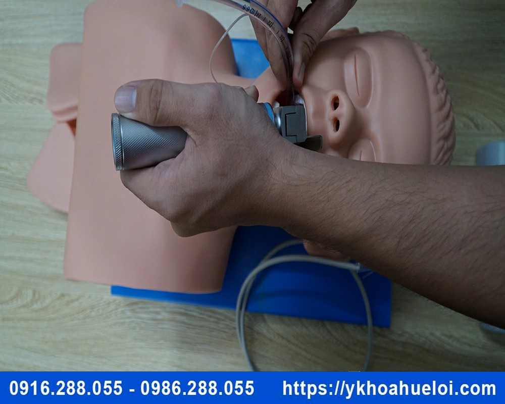Mô hình thực hành đặt nội khí quản