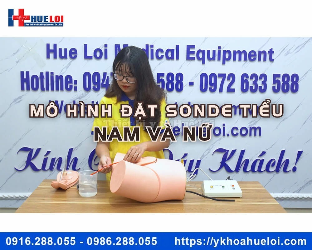 Mô hình đặt sonde tiểu nam nữ kèm thụt tháo