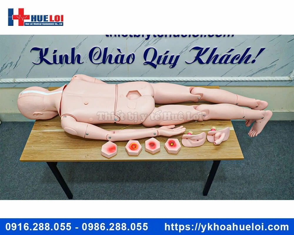 Mô hình chăm sóc điều dưỡng đa chức năng