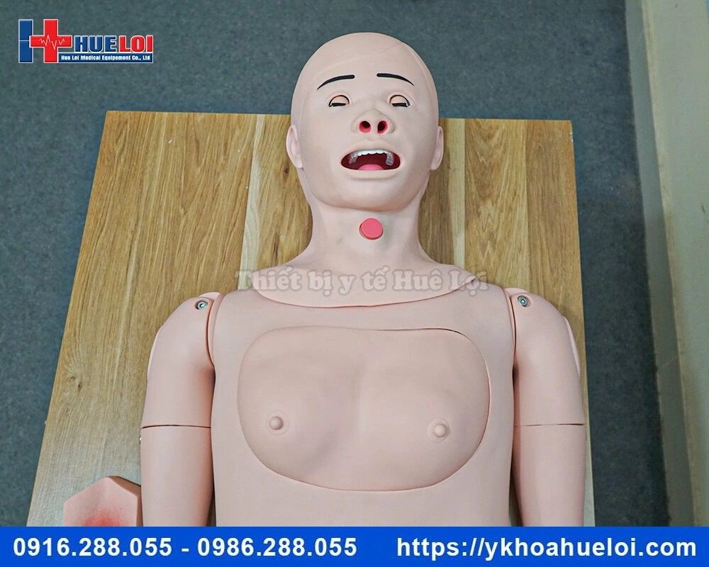 Mô hình chăm sóc điều dưỡng đa chức năng