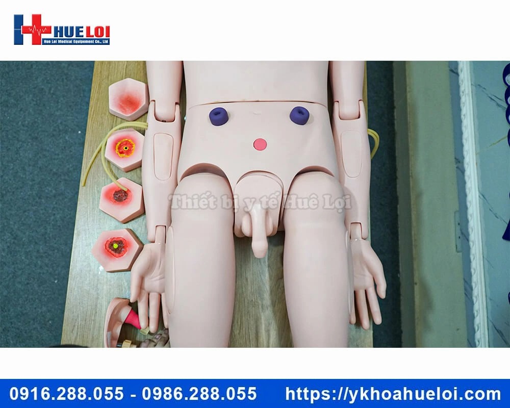 Mô hình chăm sóc điều dưỡng đa chức năng