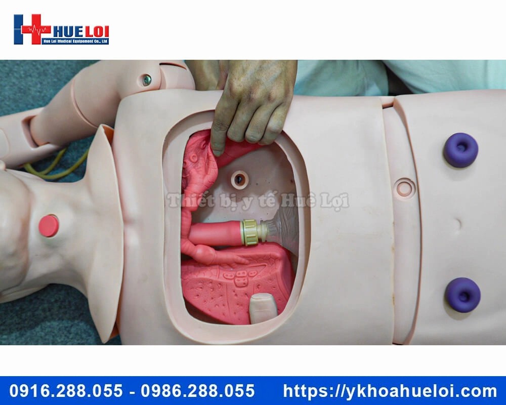 Mô hình chăm sóc điều dưỡng đa chức năng