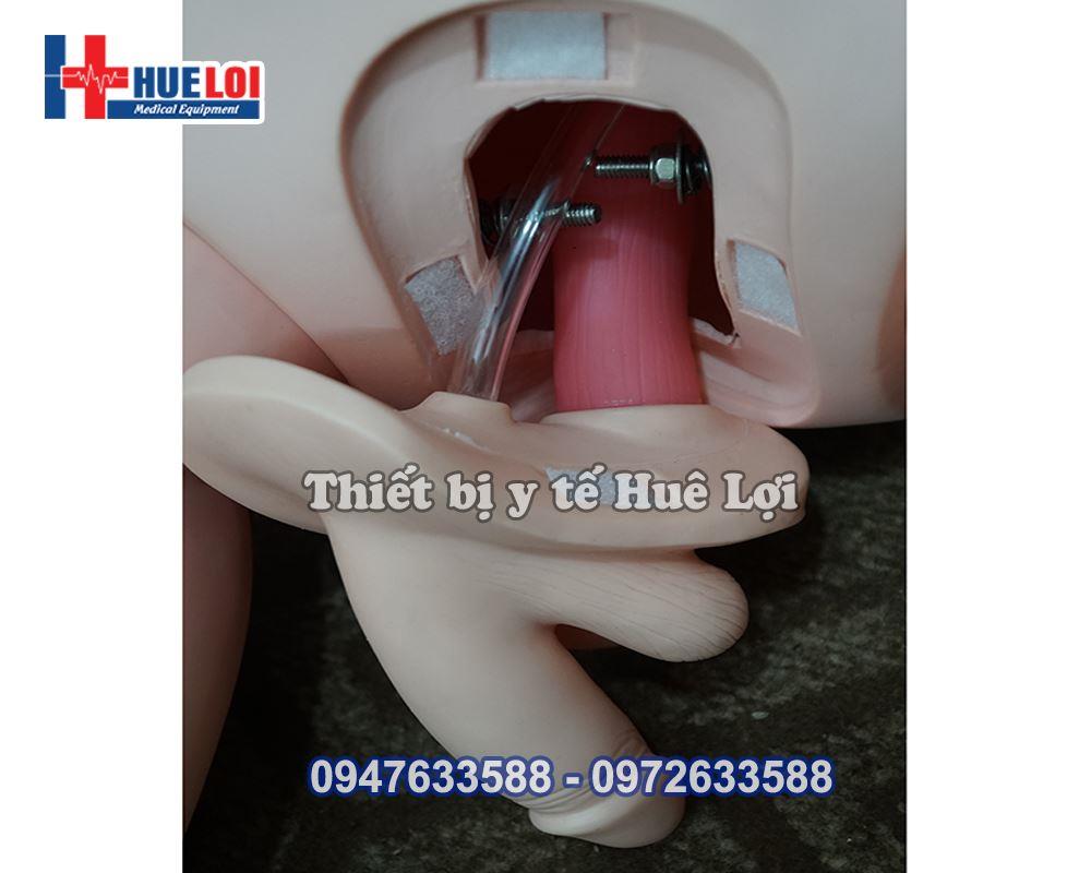 Mô hình thực hành chăm sóc điều dưỡng nam