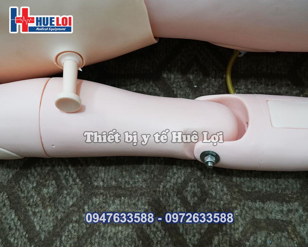 Mô hình thực hành chăm sóc điều dưỡng nữ