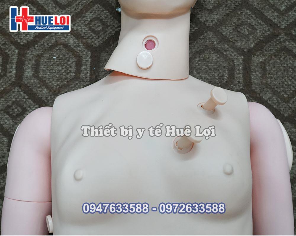 Mô hình thực hành chăm sóc điều dưỡng nữ