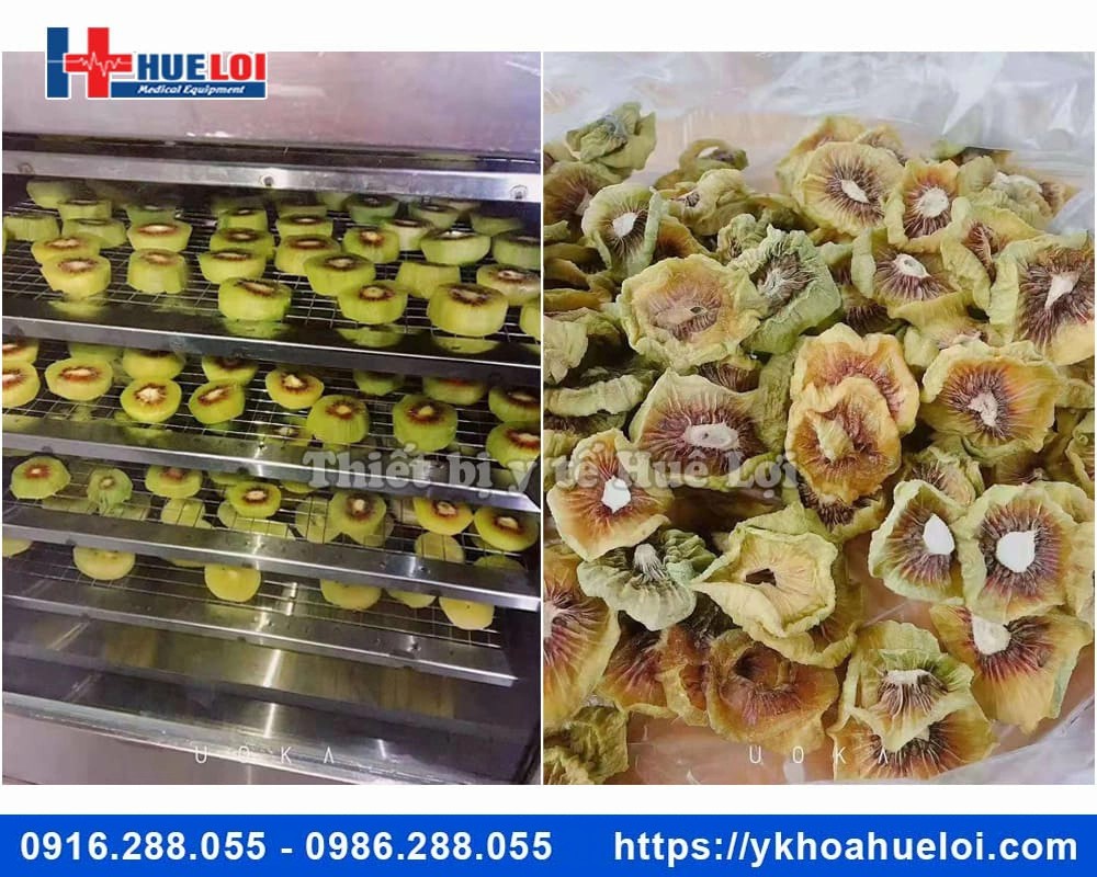 Tủ sấy dược liệu 1 cửa 12 tầng