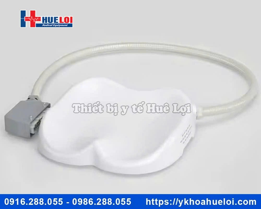 Máy từ trường phục hồi cơ sàn chậu